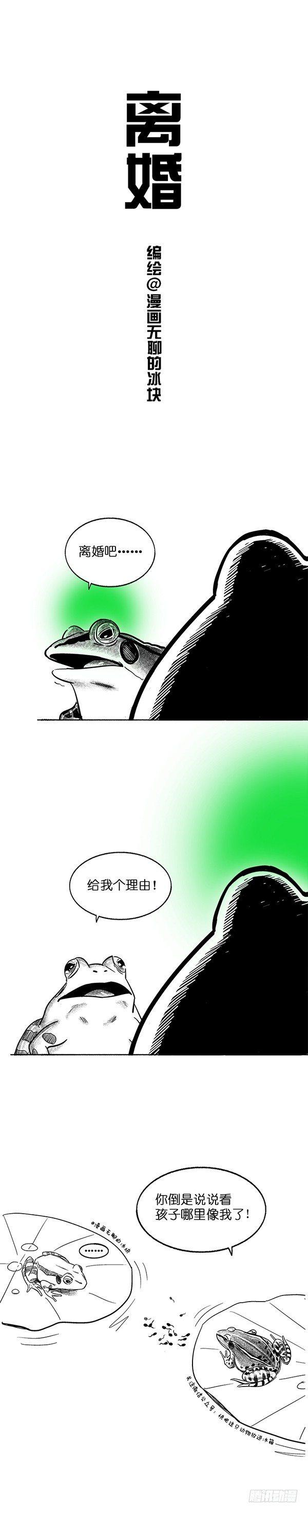 🍕快把动物放进冰箱 017离婚 第1页