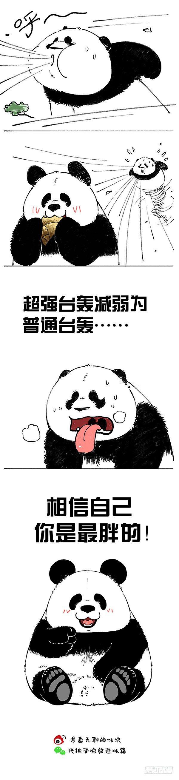 🍕快把动物放进冰箱 176相信自己你是最胖的 第3页
