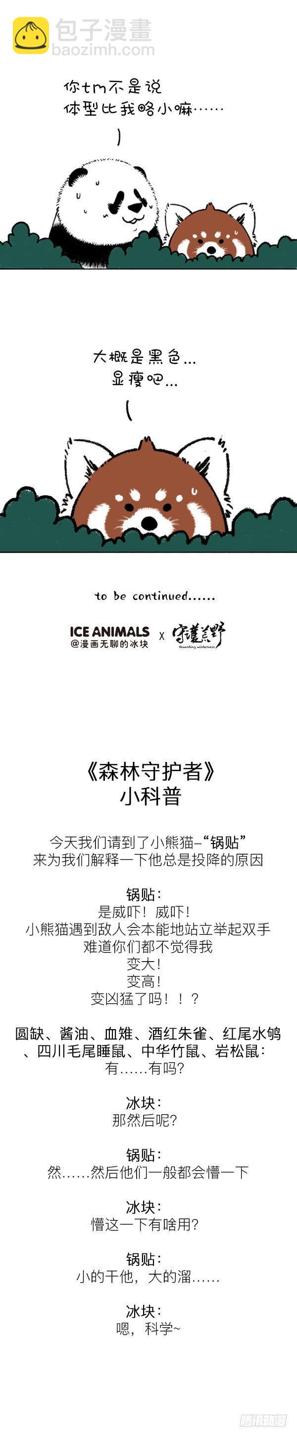 🍕快把动物放进冰箱 200你这个习惯得改改 第3页
