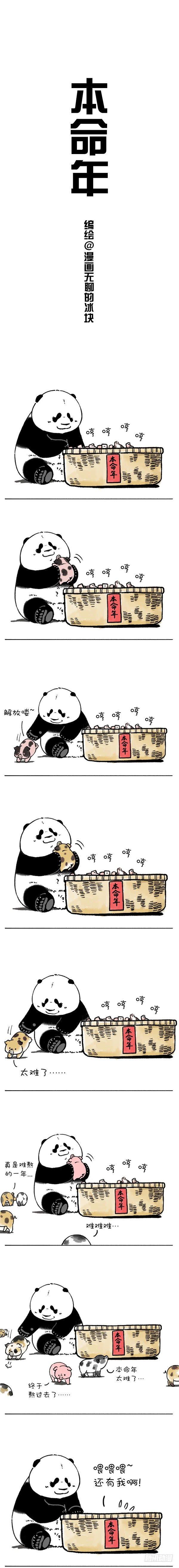 🍕快把动物放进冰箱 204没想到你是这样的猪 第1页