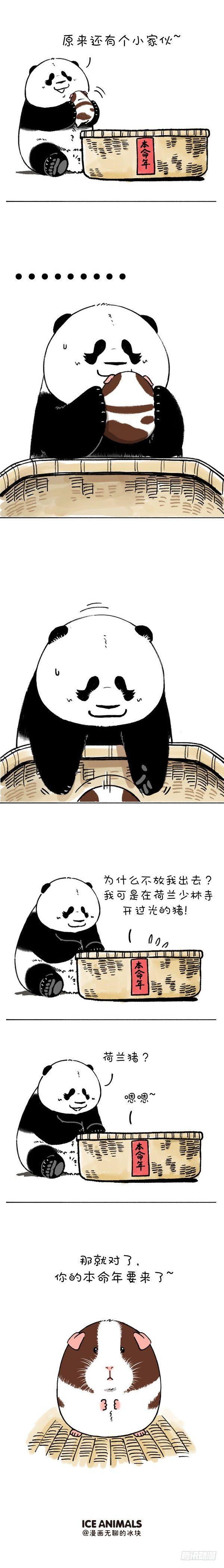 🍕快把动物放进冰箱 204没想到你是这样的猪 第2页