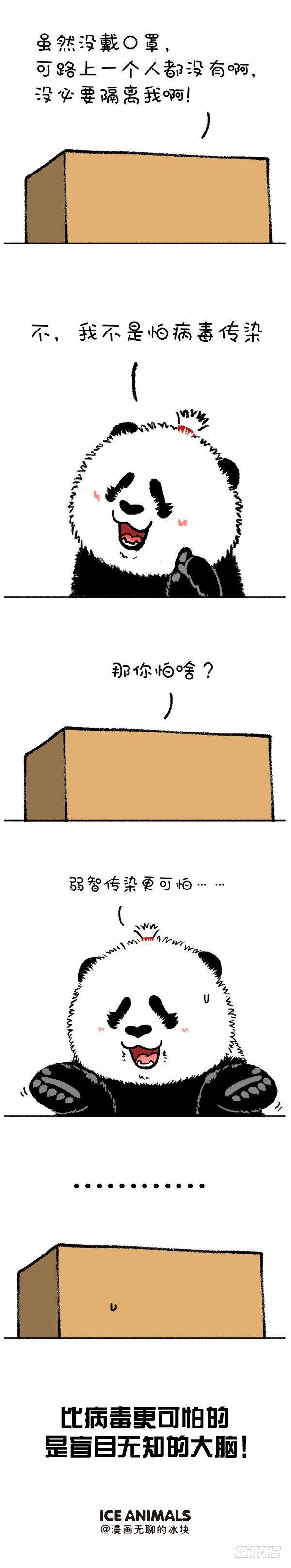 🍕快把动物放进冰箱 210有些愚昧也需要被隔离 第5页