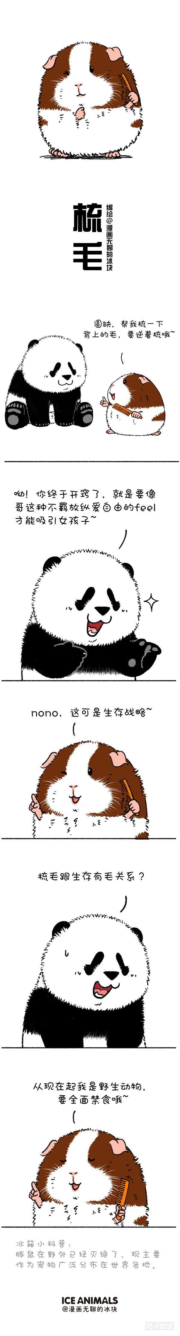🍕快把动物放进冰箱 216原谅我这一生不羁放纵太可口 第1页