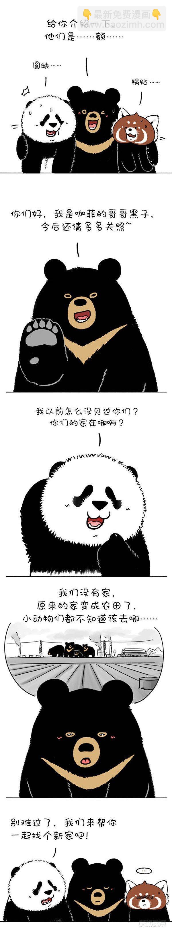 🍕快把动物放进冰箱 220熊挪活，树挪死 第3页