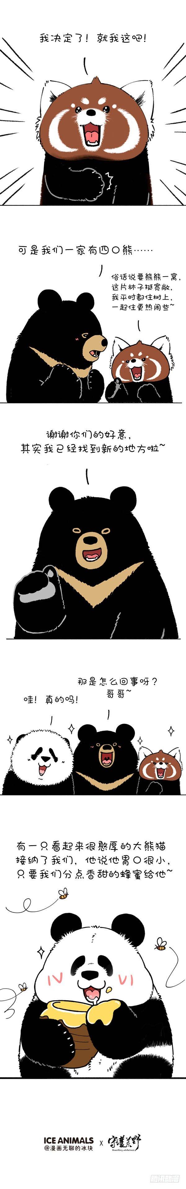 🍕快把动物放进冰箱 220熊挪活，树挪死 第4页