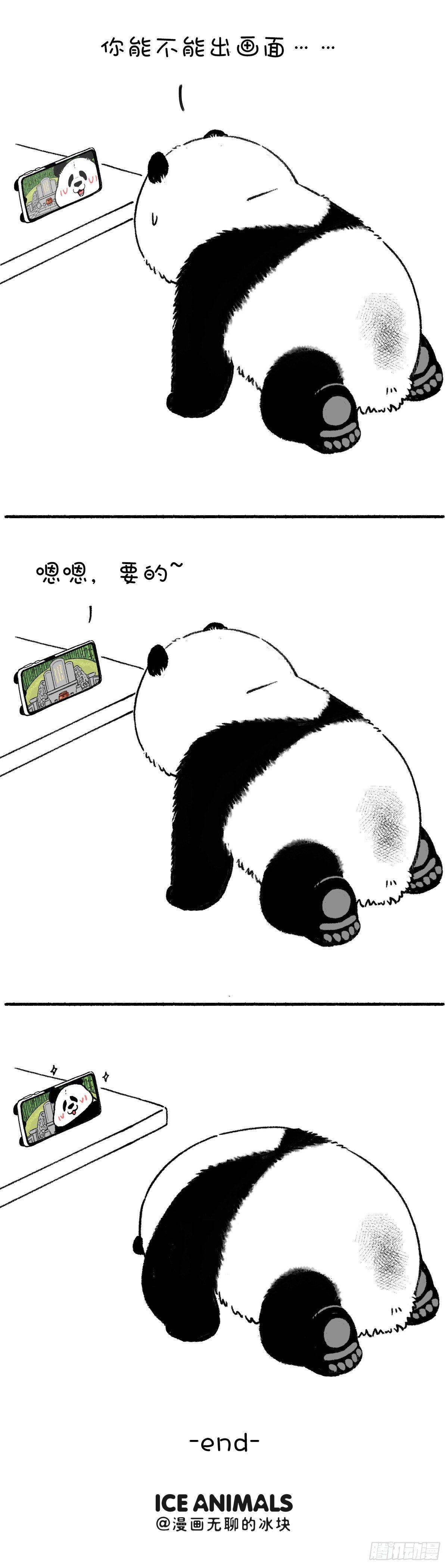 🍕快把动物放进冰箱 传统清明创新过 第4页