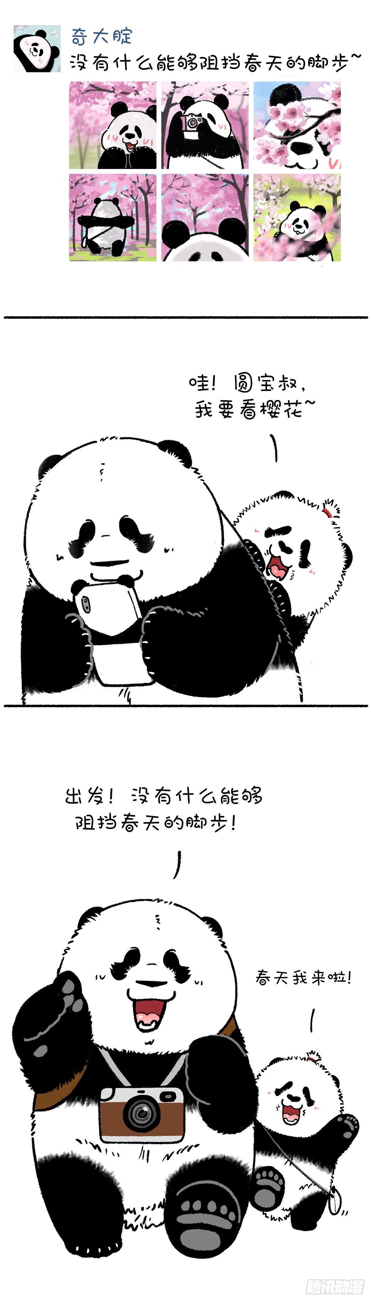🍕快把动物放进冰箱 没有什么能够阻挡春天的脚步 第1页