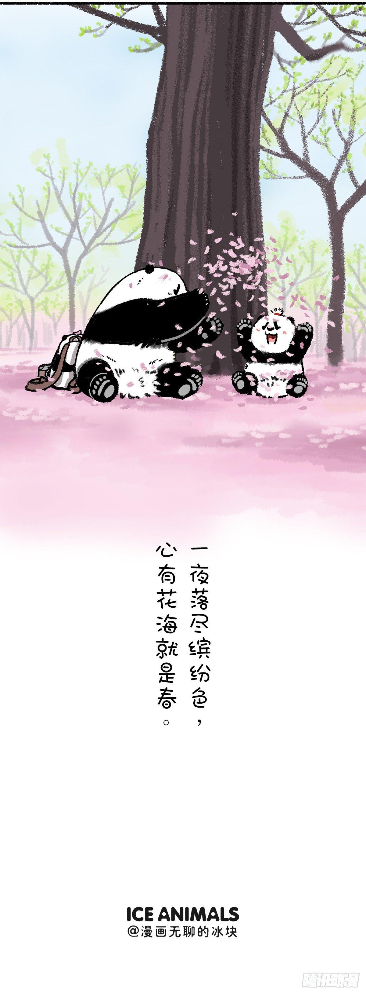 🍕快把动物放进冰箱 没有什么能够阻挡春天的脚步 第5页