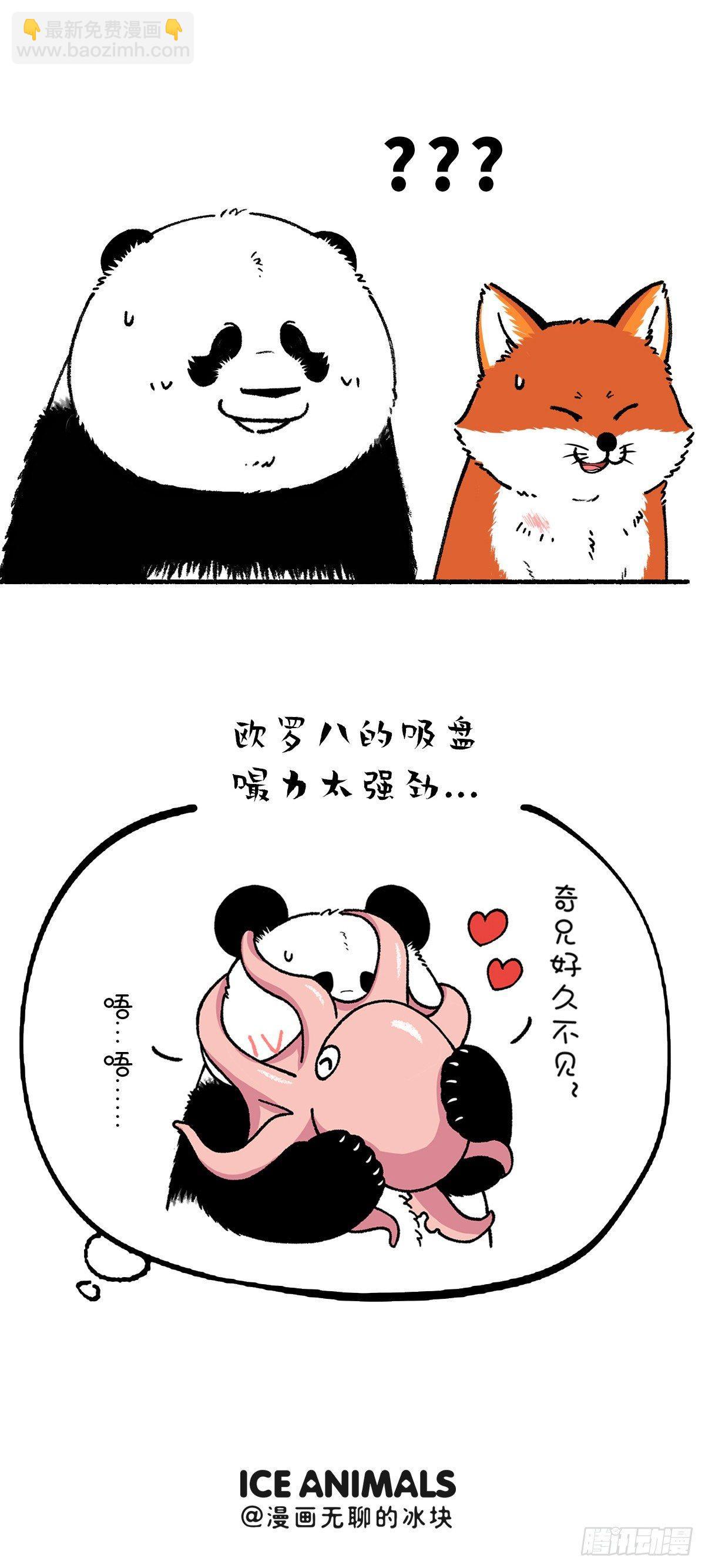 🍕快把动物放进冰箱 别误会，我不是随便的熊…… 第3页