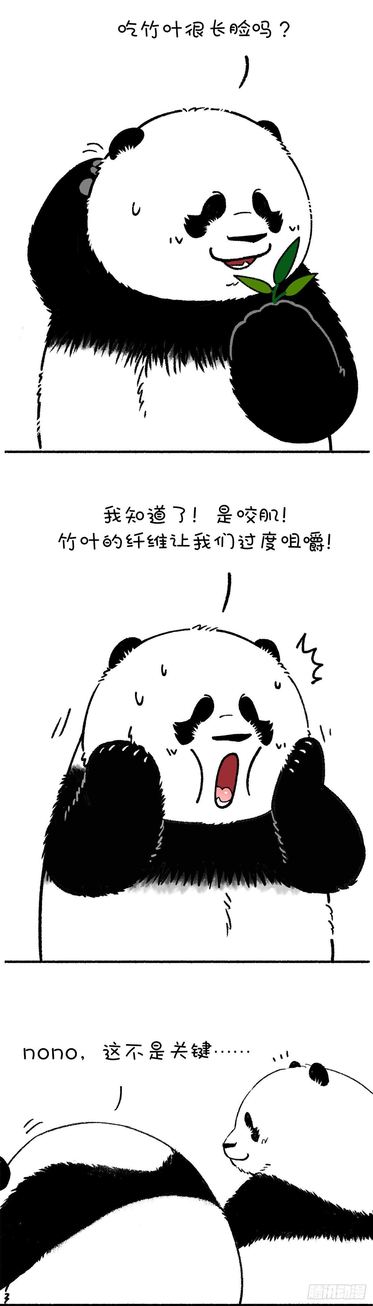 🍕快把动物放进冰箱 一招解决大脸问题 第3页