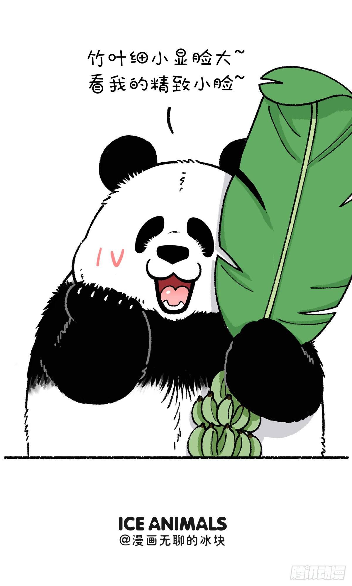 🍕快把动物放进冰箱 一招解决大脸问题 第4页