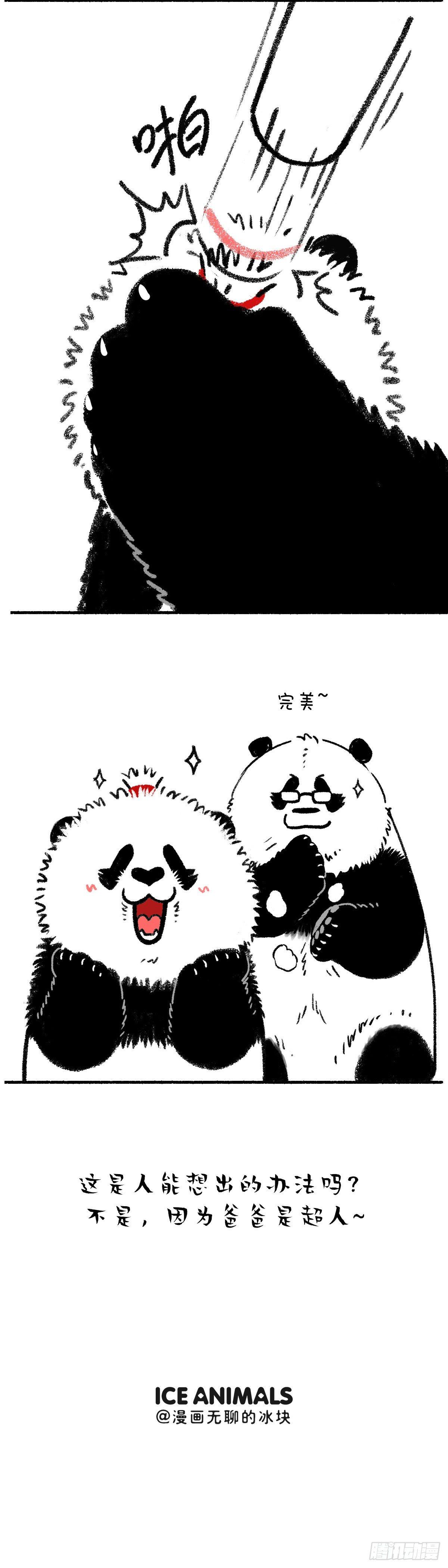 🍕快把动物放进冰箱 祝这位好帅好帅的先生节日快乐！ 第2页