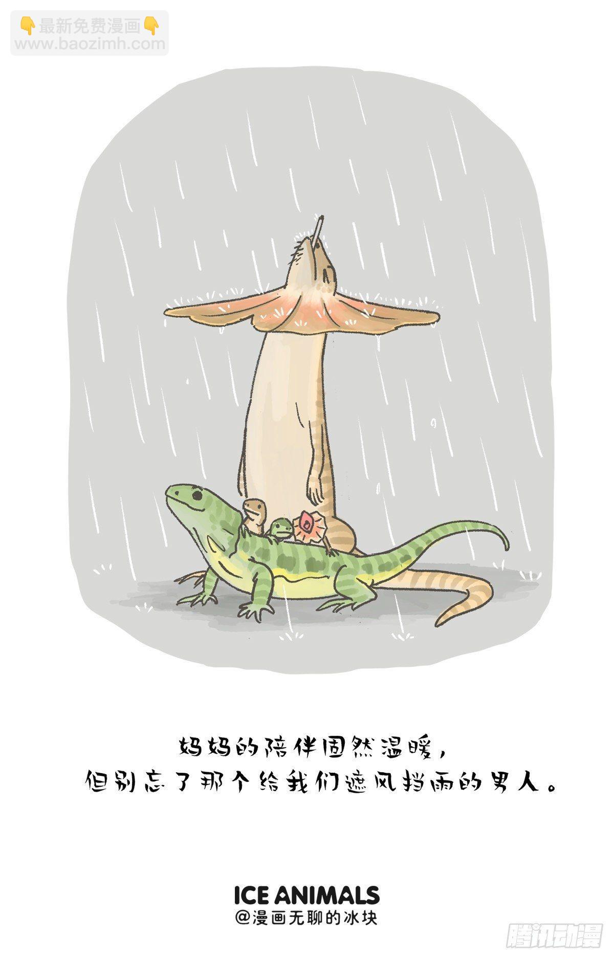 🍕快把动物放进冰箱 祝这位好帅好帅的先生节日快乐！ 第5页