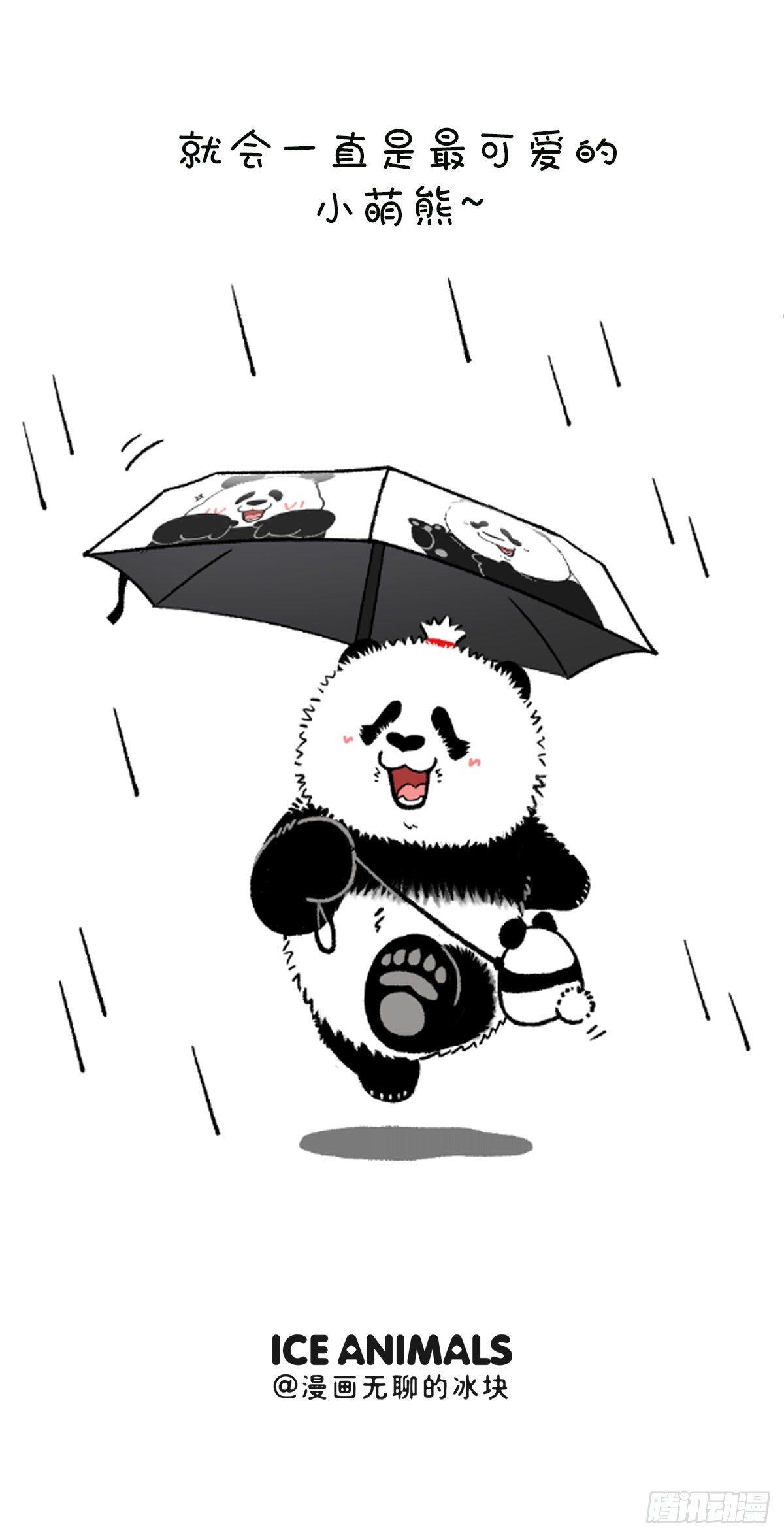 🍕快把动物放进冰箱 每次高温暴雨就忍不住为你捏把伞 第4页