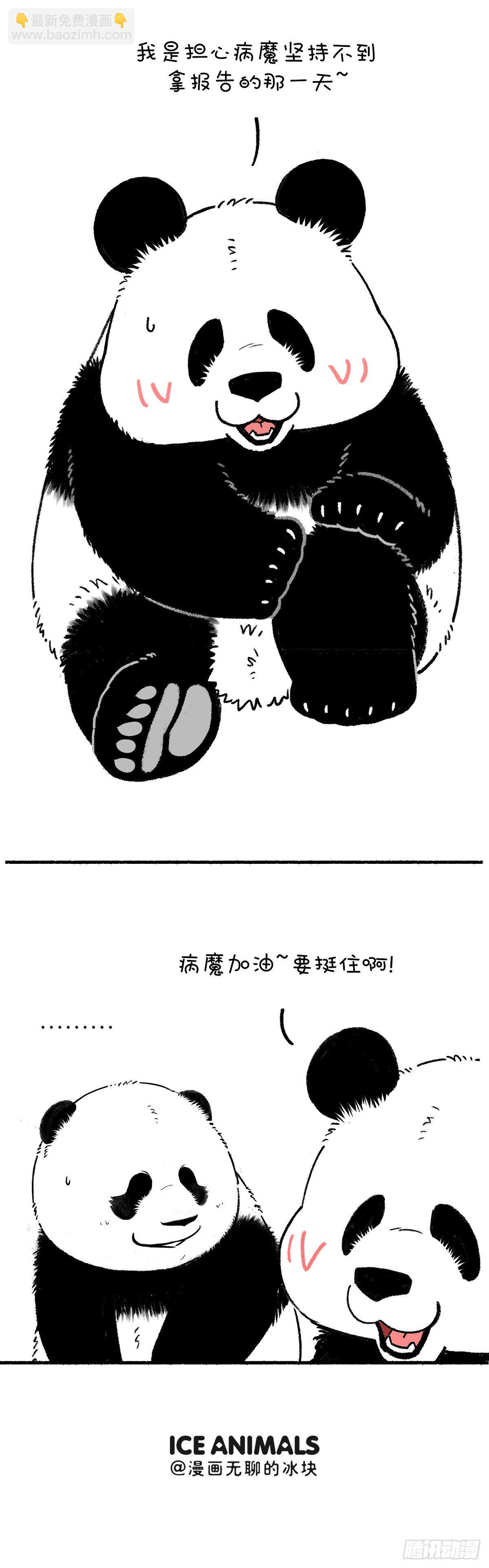 🍕快把动物放进冰箱 吃点苦算什么 关键是不能吃亏 第5页