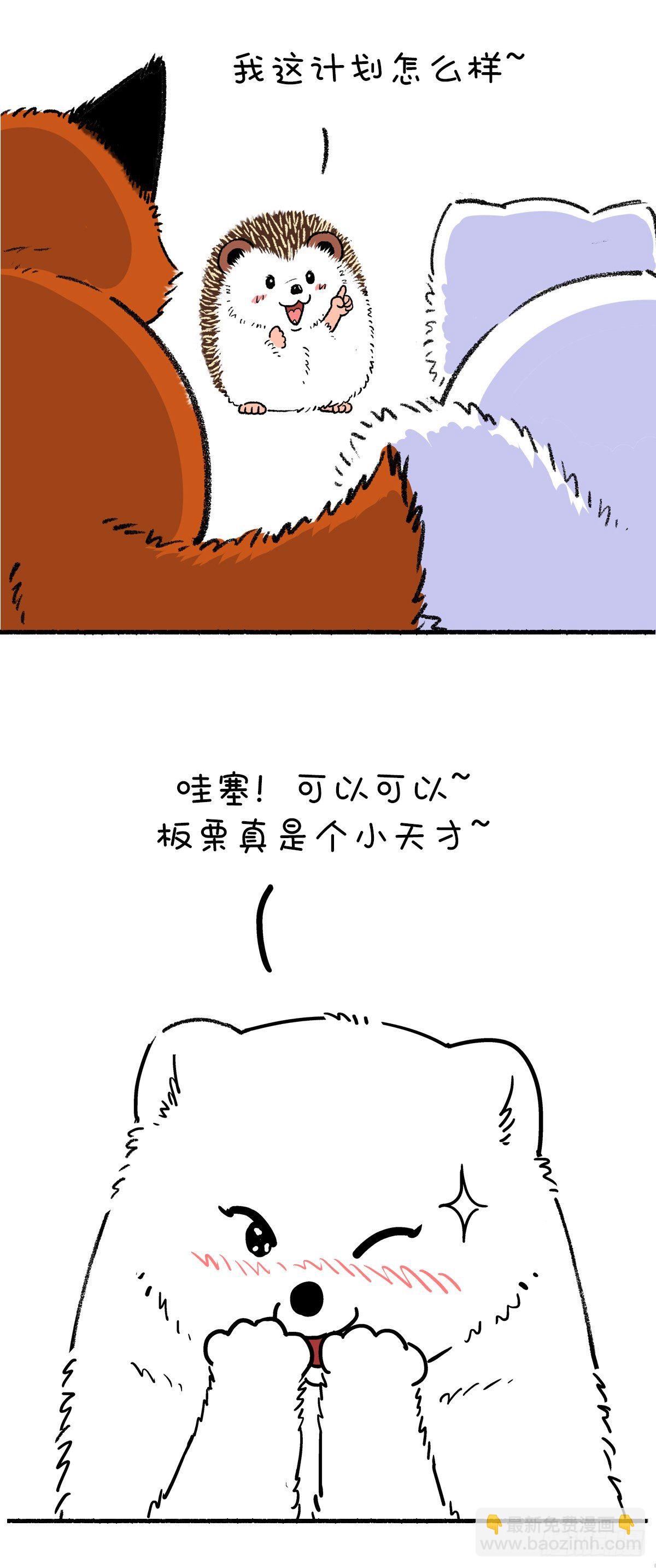 🍕快把动物放进冰箱 以前那么搭调，后来觉得好笑 第3页