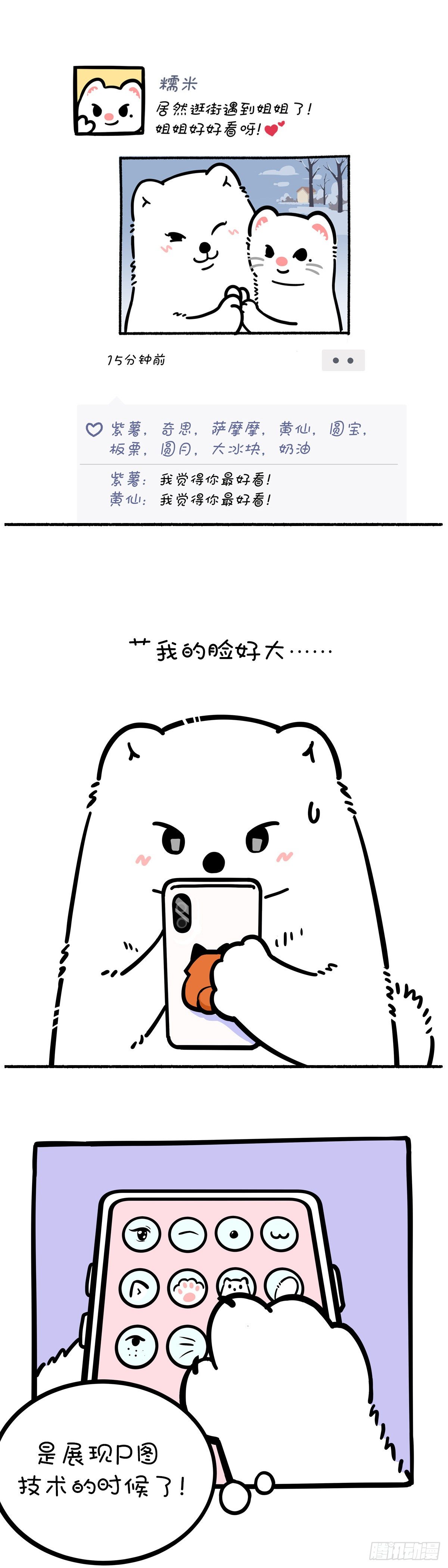 🍕快把动物放进冰箱 照片这一拍，生活就很嗨~ 第1页