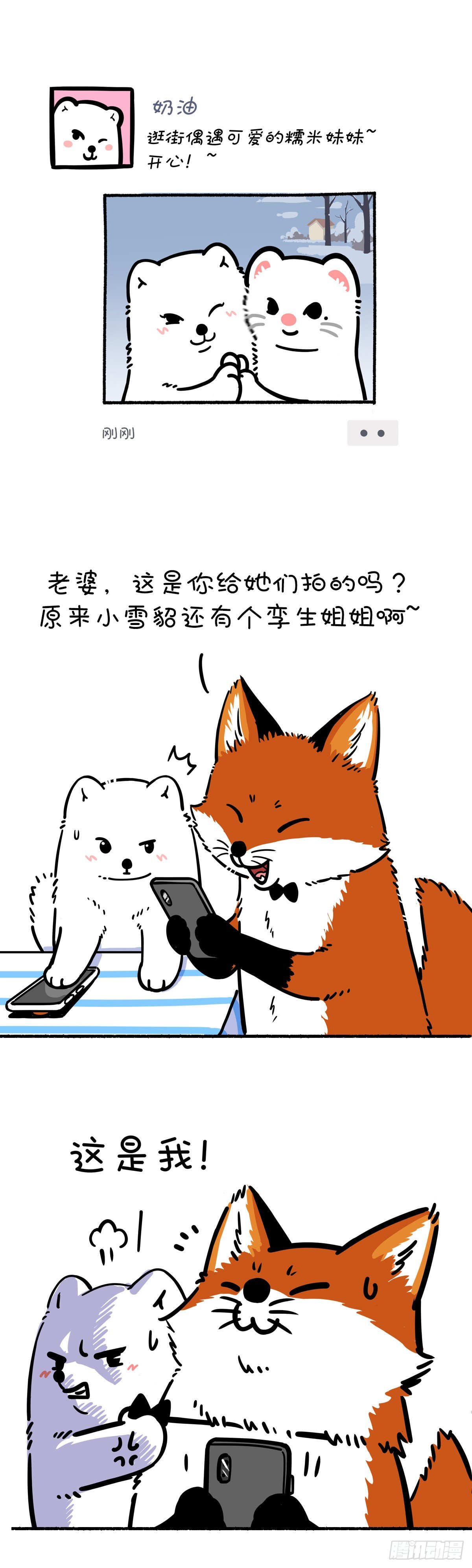 🍕快把动物放进冰箱 照片这一拍，生活就很嗨~ 第2页