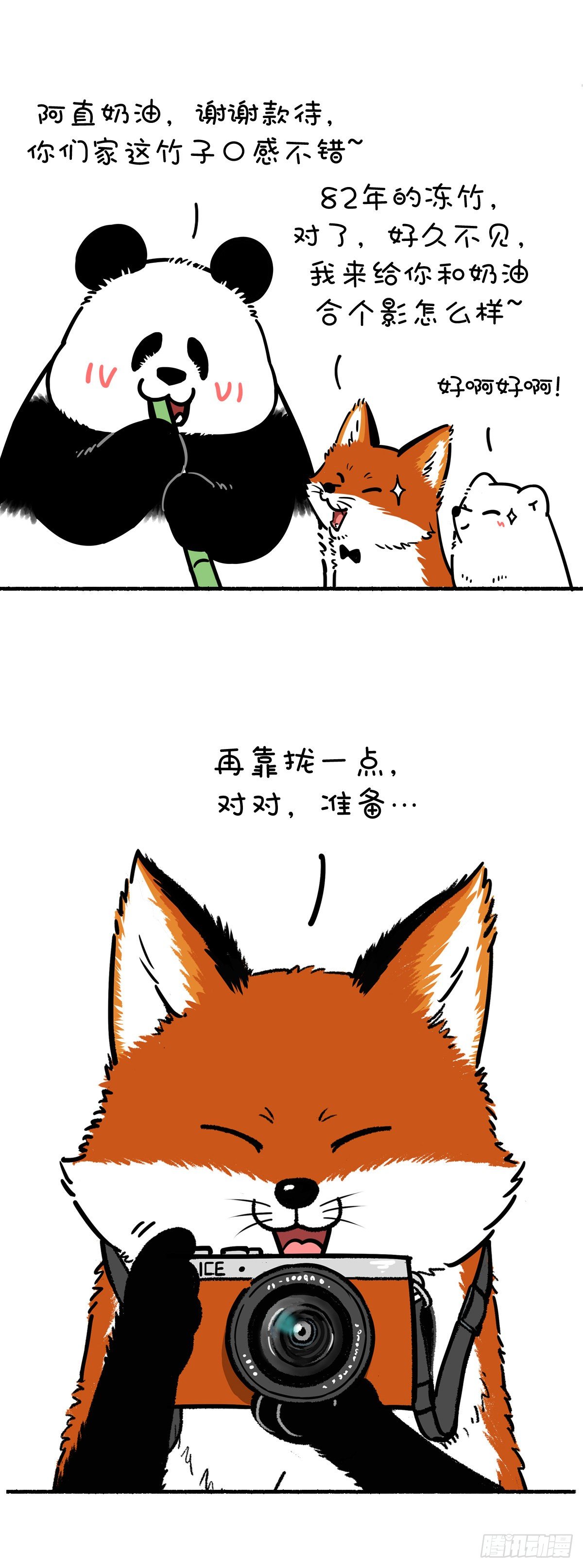 🍕快把动物放进冰箱 照片这一拍，生活就很嗨~ 第4页