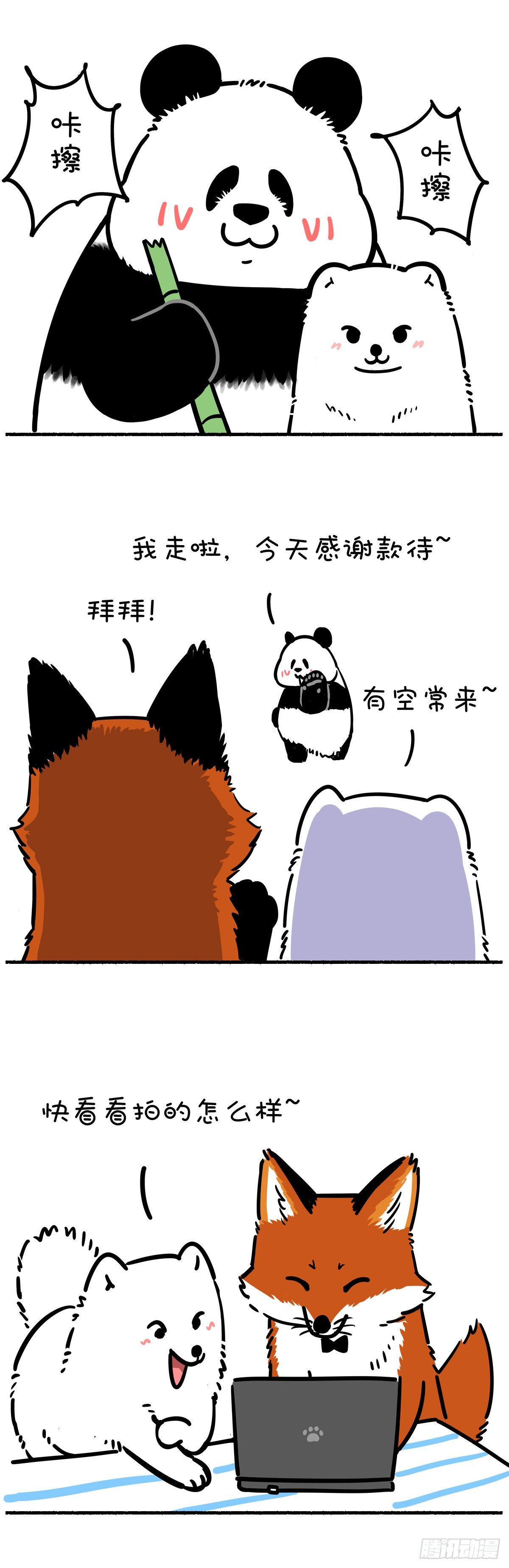 🍕快把动物放进冰箱 照片这一拍，生活就很嗨~ 第5页