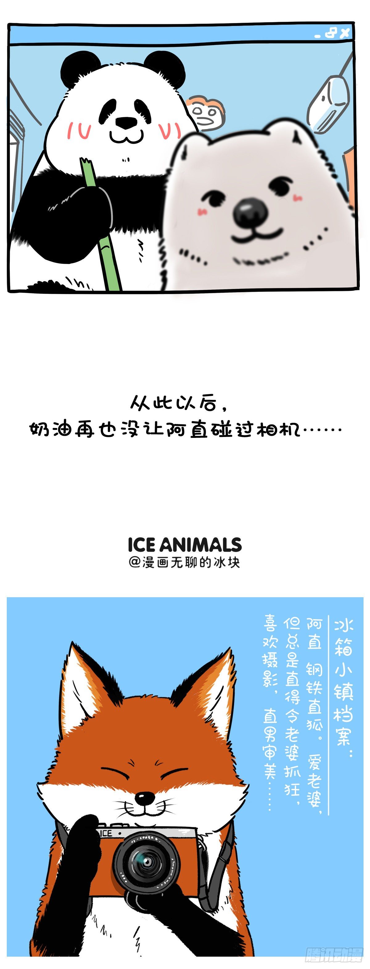 🍕快把动物放进冰箱 照片这一拍，生活就很嗨~ 第6页