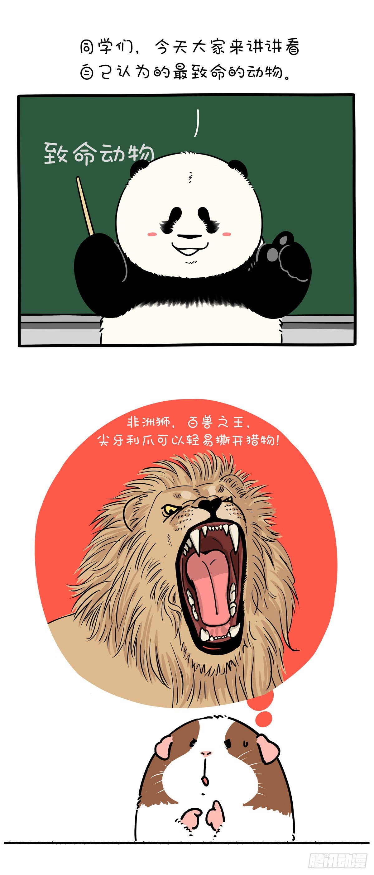 🍕快把动物放进冰箱 世界上最致命的动物是什么？ 第1页