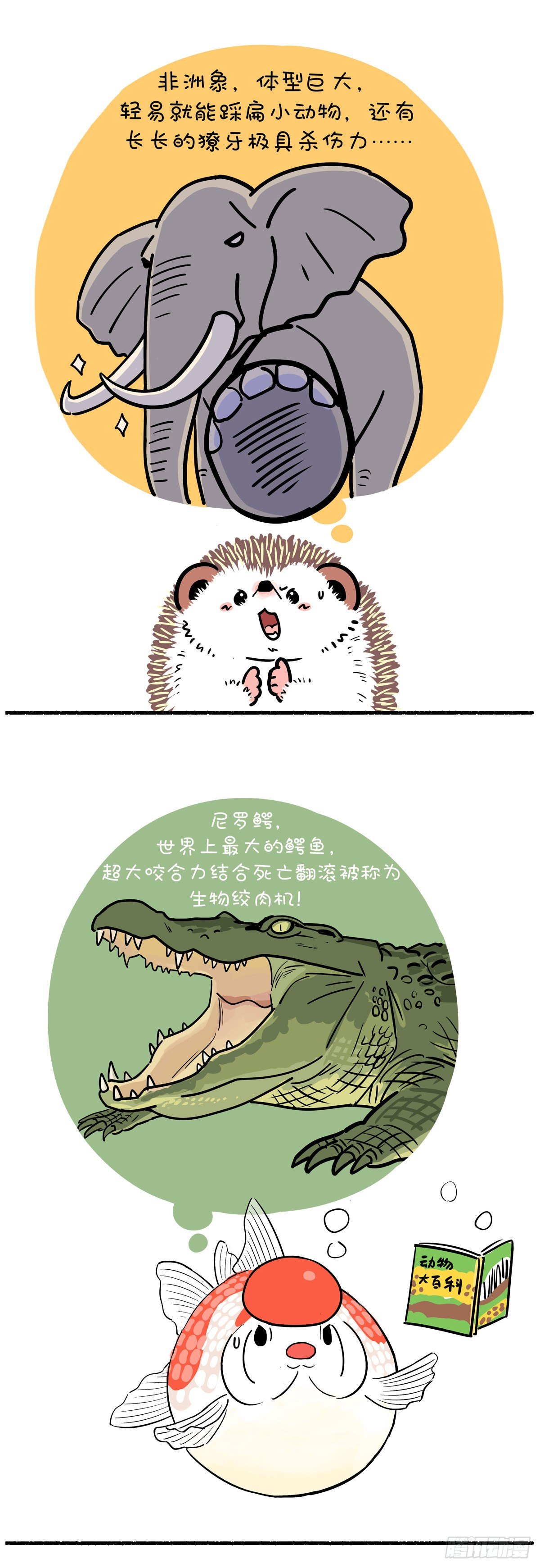 🍕快把动物放进冰箱 世界上最致命的动物是什么？ 第2页