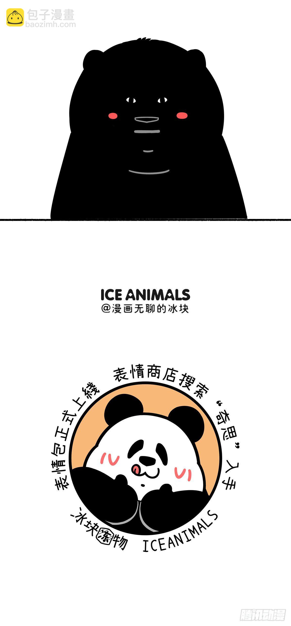 🍕快把动物放进冰箱 祛除黑眼圈小妙招 第5页