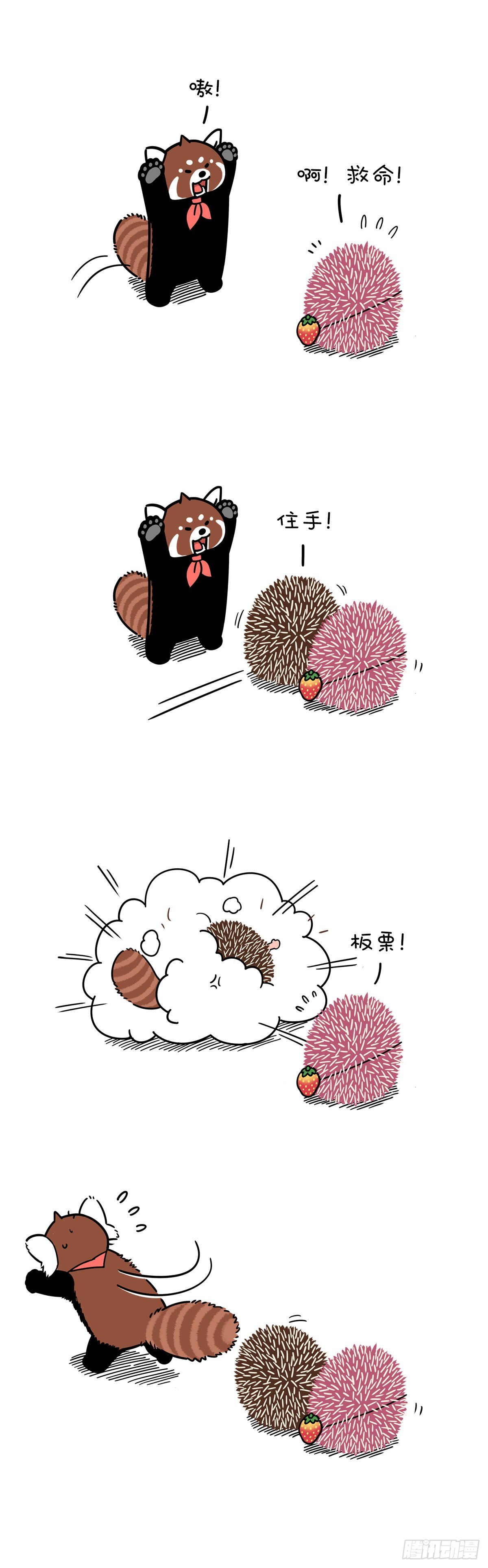 🍕快把动物放进冰箱 只要脑子反应快，人间处处是真爱 第1页