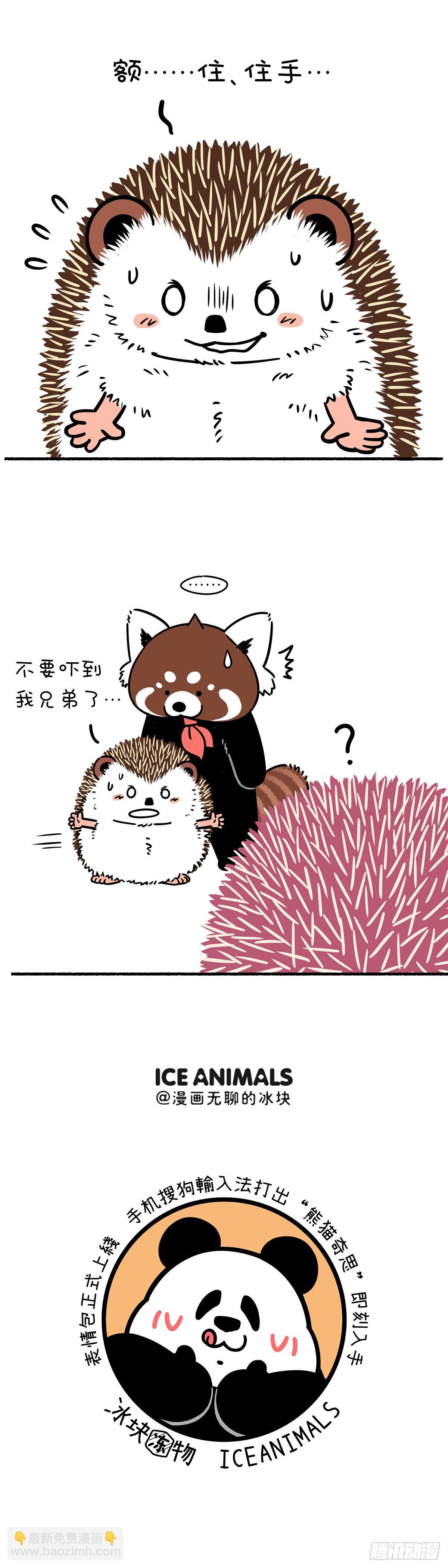 🍕快把动物放进冰箱 只要脑子反应快，人间处处是真爱 第5页