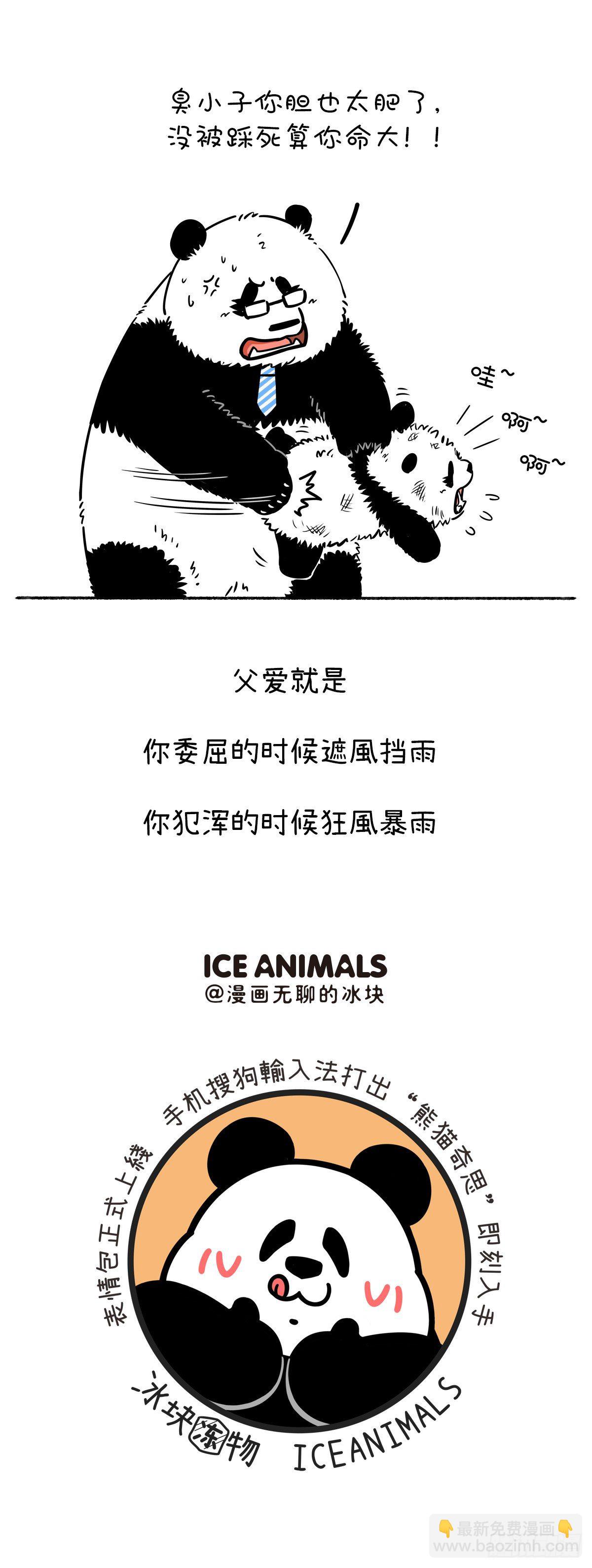🍕快把动物放进冰箱 父爱无形，却有迹可循~ 第7页