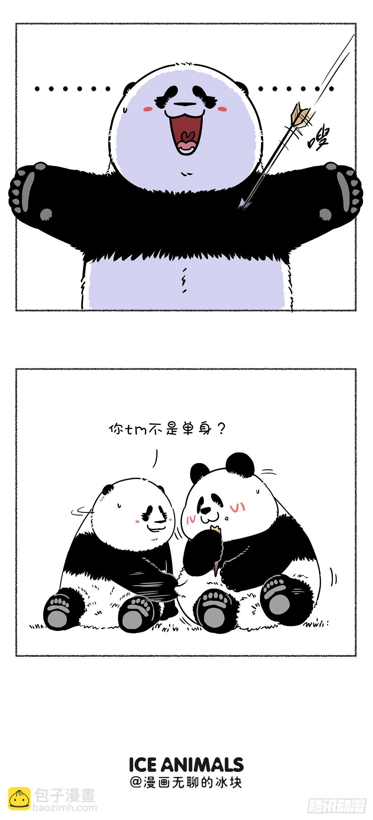 🍕快把动物放进冰箱 热烈庆祝大熊猫成功降级~ 第3页