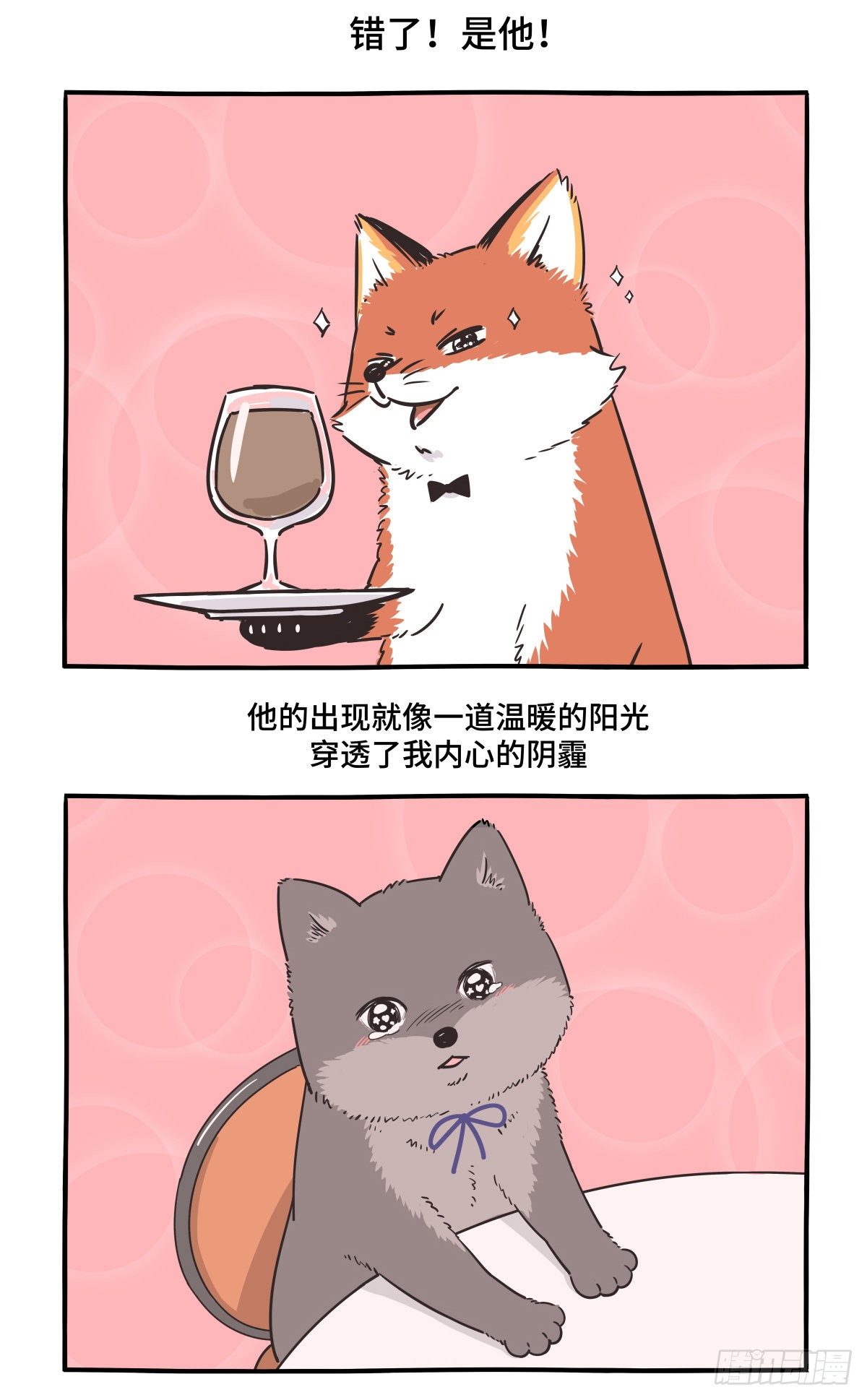 🍕快把动物放进冰箱 人生若只如初见，一束强光挺晃眼 第6页