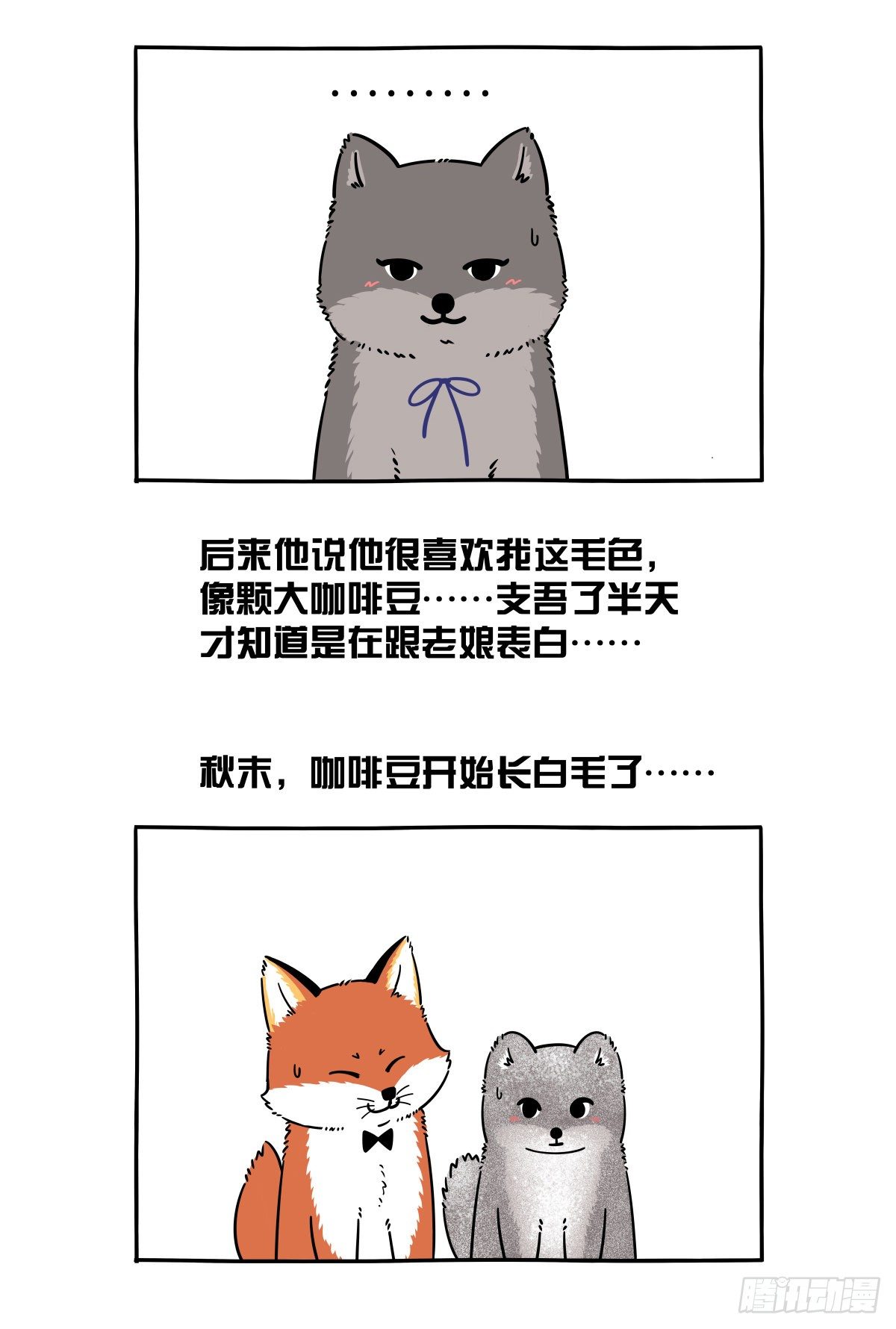 🍕快把动物放进冰箱 七夕到了给大家上一课！！ 第3页