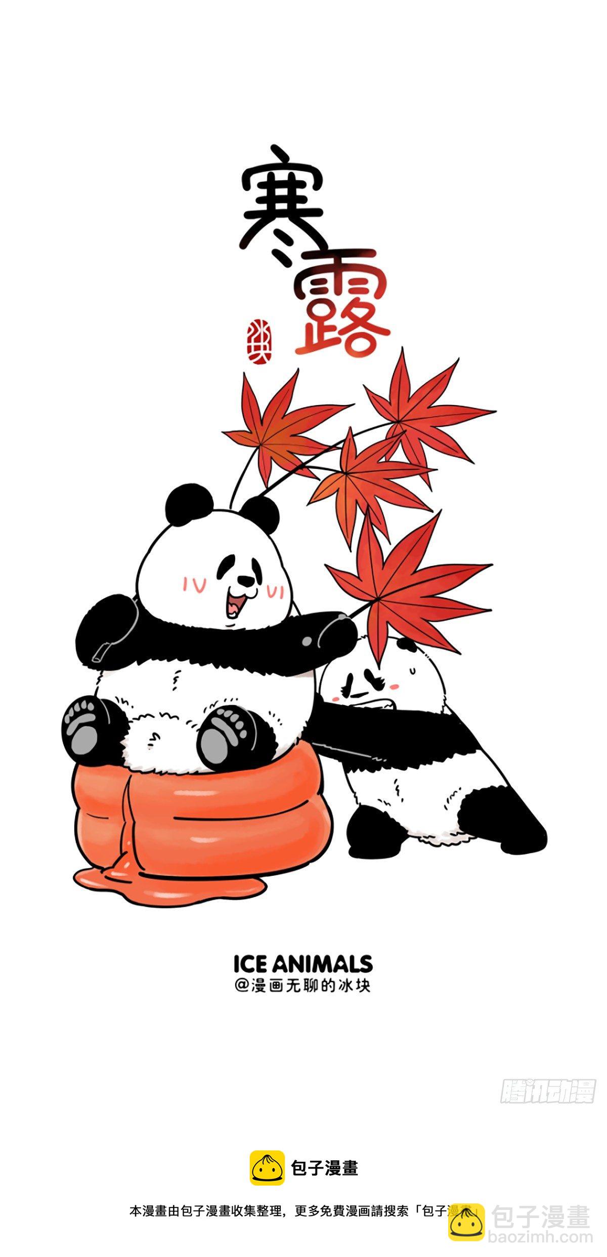 🍕快把动物放进冰箱 喝了咱的酒，面不改色横着走！ 第10页