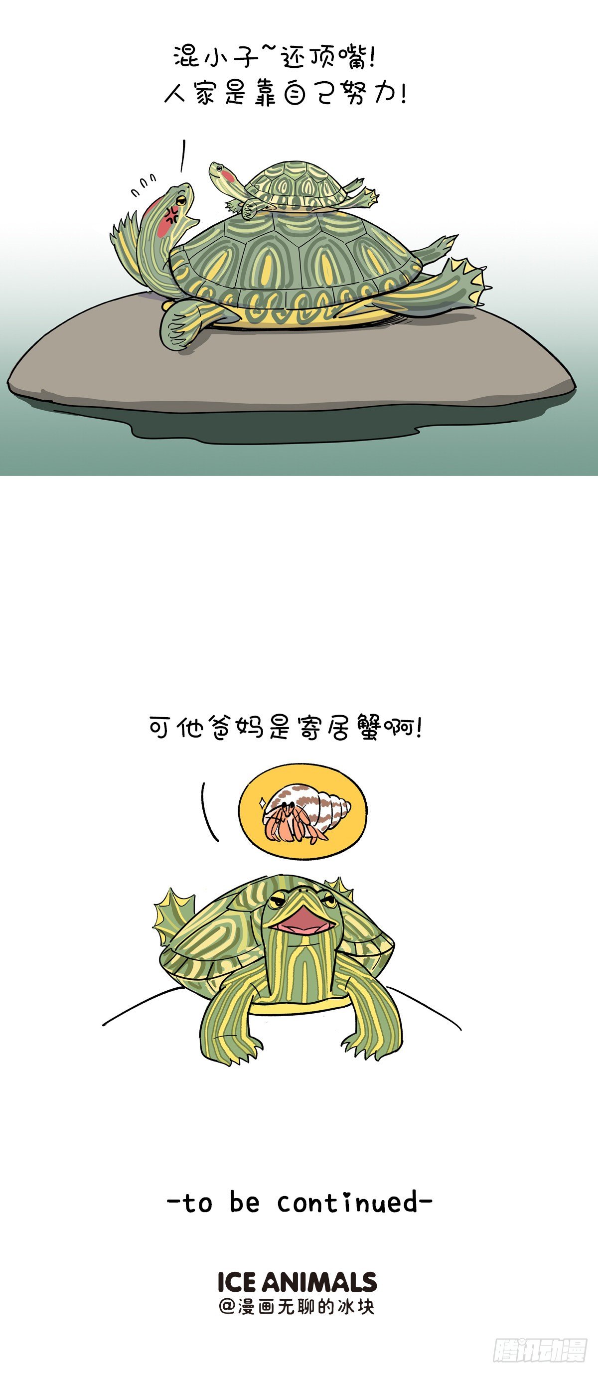 🍕快把动物放进冰箱 家家有本双标的经 第3页