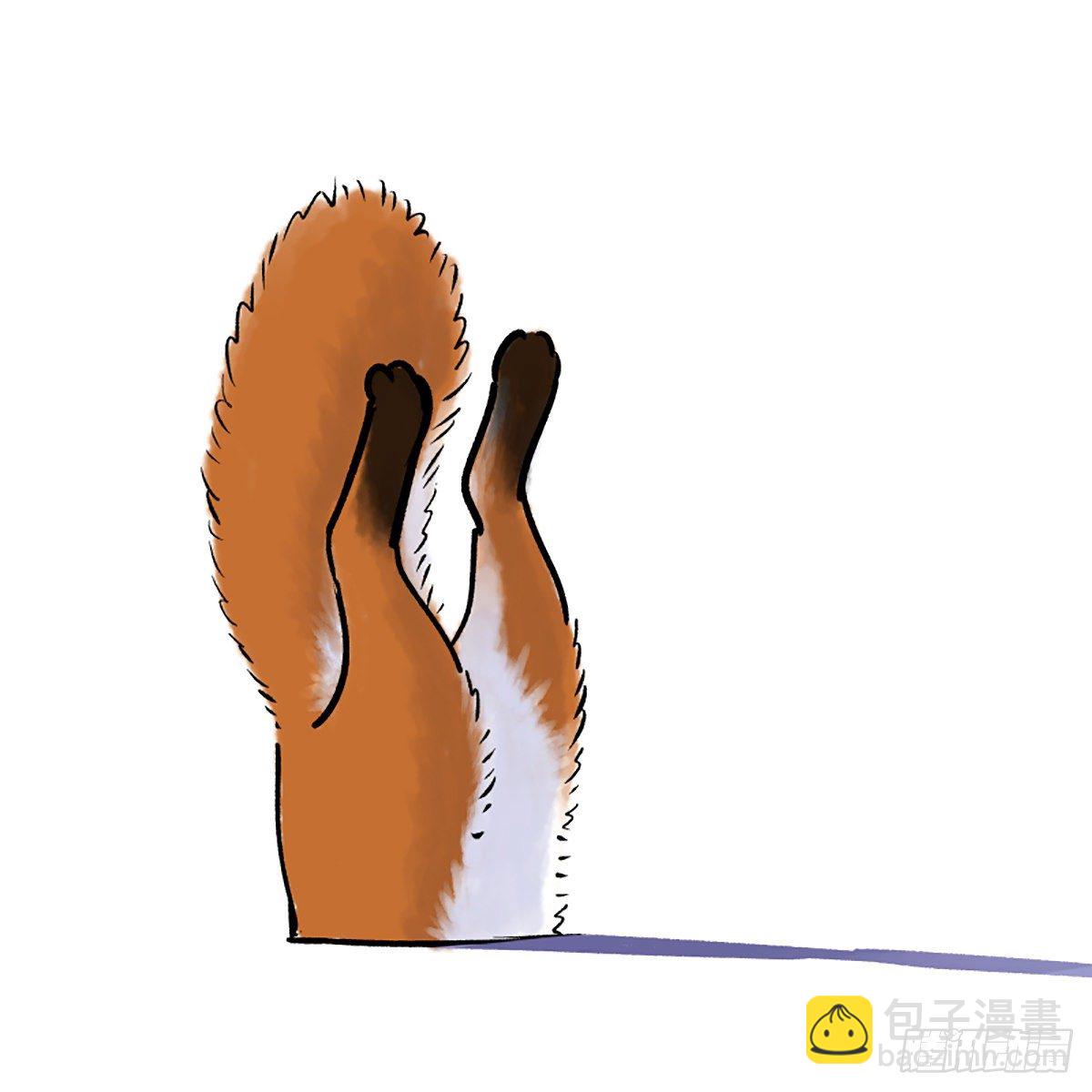 🍕快把动物放进冰箱 家家有本双标的经 第9页