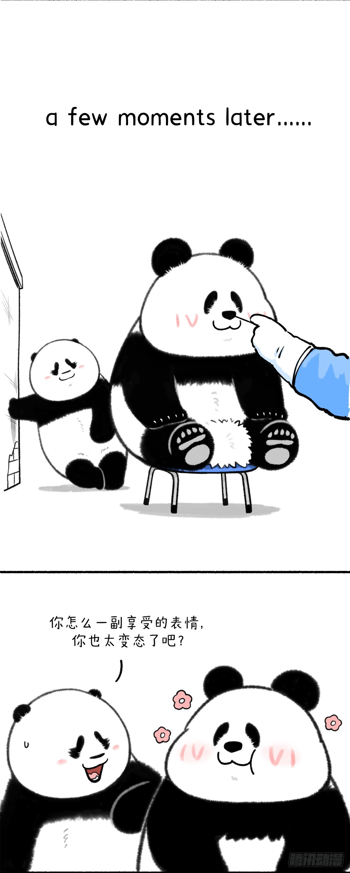 🍕快把动物放进冰箱 如何降低鼻拭子核酸检测的痛苦~ 第3页