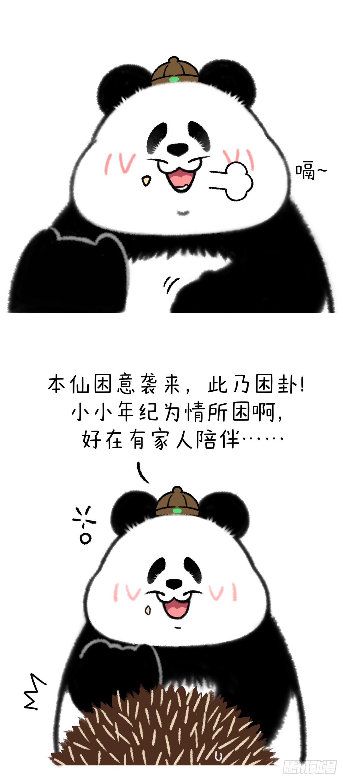 🍕快把动物放进冰箱 问世间情为何物叫人下楼做核酸 第2页