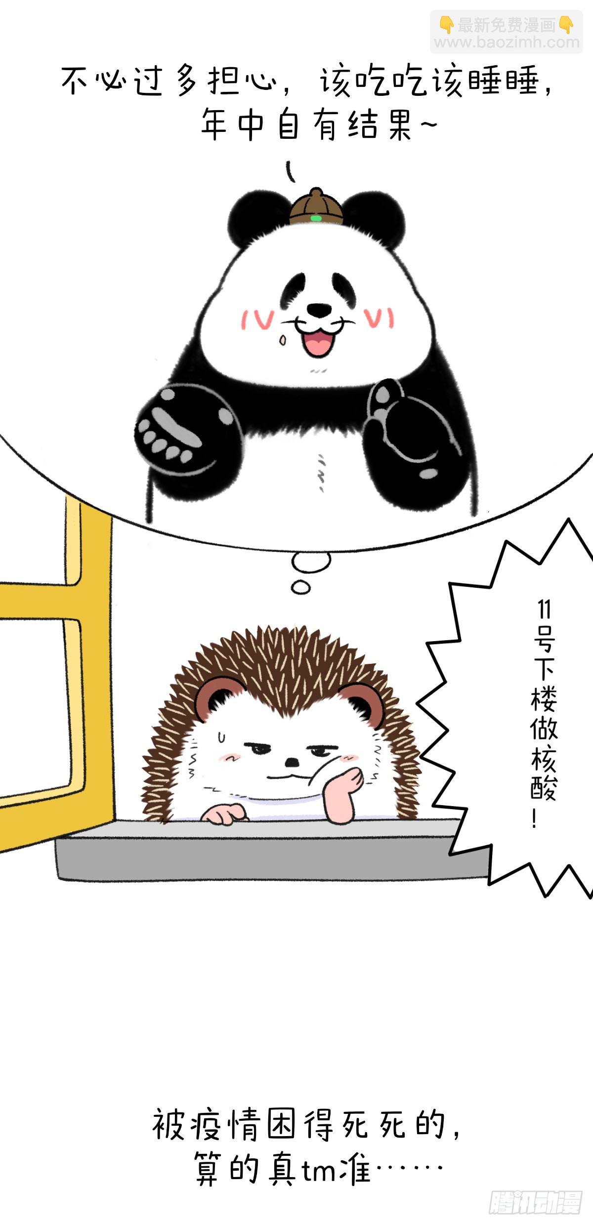 🍕快把动物放进冰箱 问世间情为何物叫人下楼做核酸 第4页