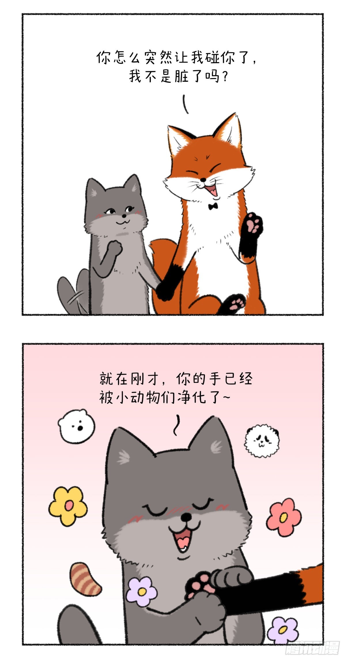 🍕快把动物放进冰箱 记得定期叫你的男票来接受净化 第10页