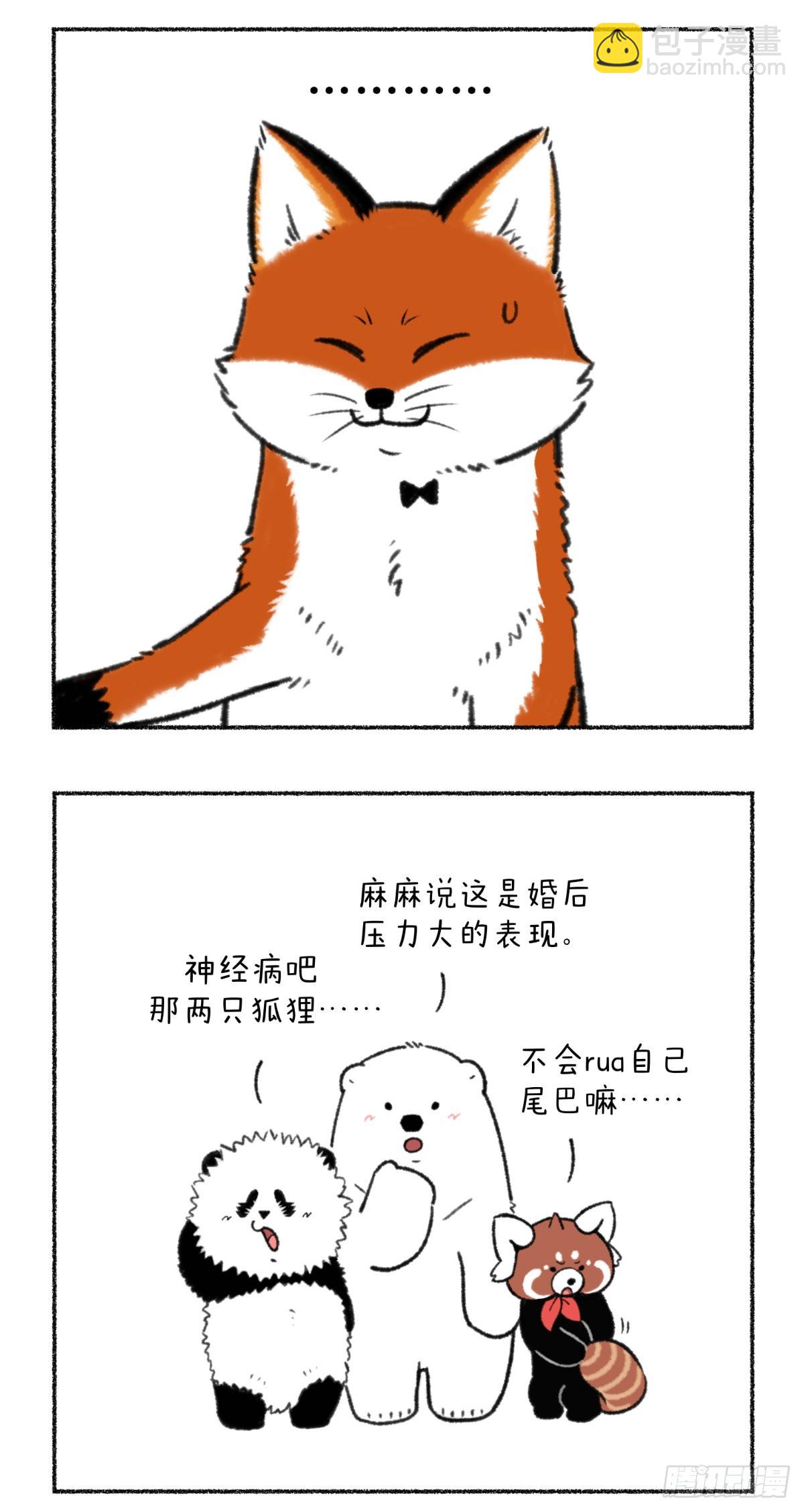 🍕快把动物放进冰箱 记得定期叫你的男票来接受净化 第11页