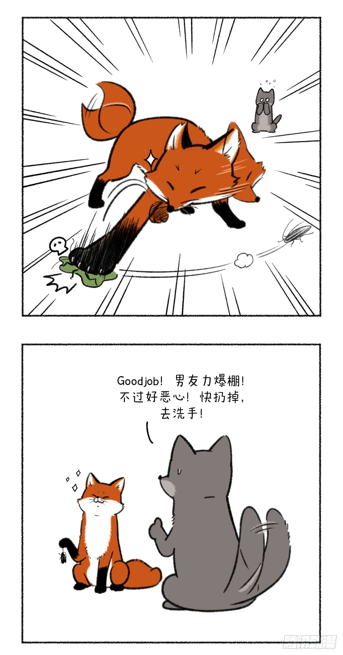 🍕快把动物放进冰箱 记得定期叫你的男票来接受净化 第2页