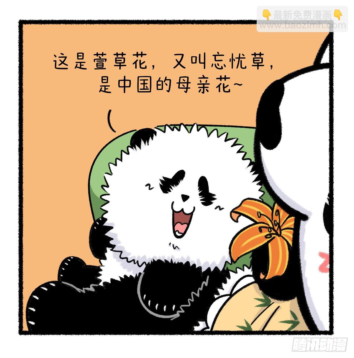 🍕快把动物放进冰箱 祝全天下的妈妈无忧无虑~ 第3页