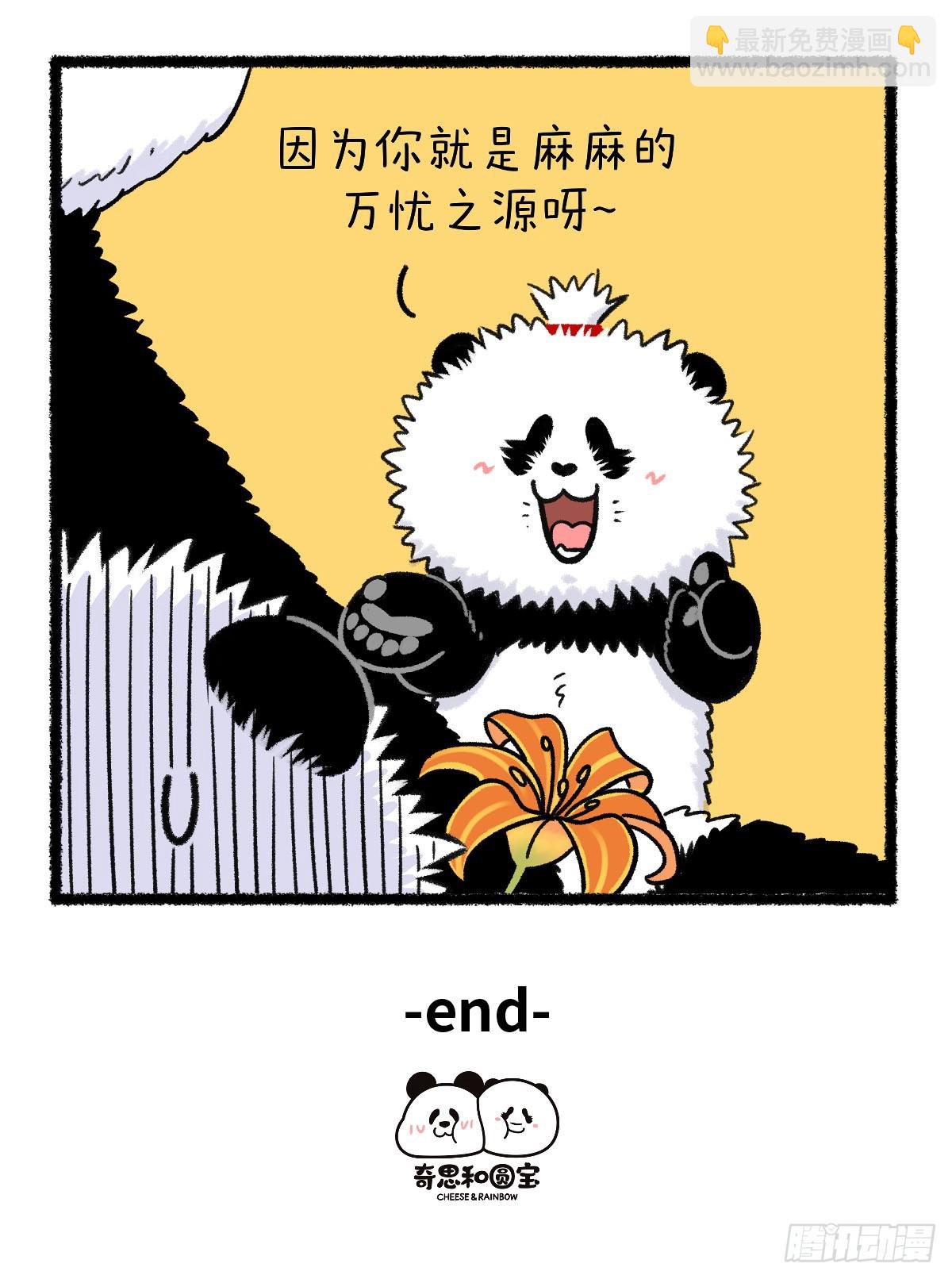 🍕快把动物放进冰箱 祝全天下的妈妈无忧无虑~ 第8页