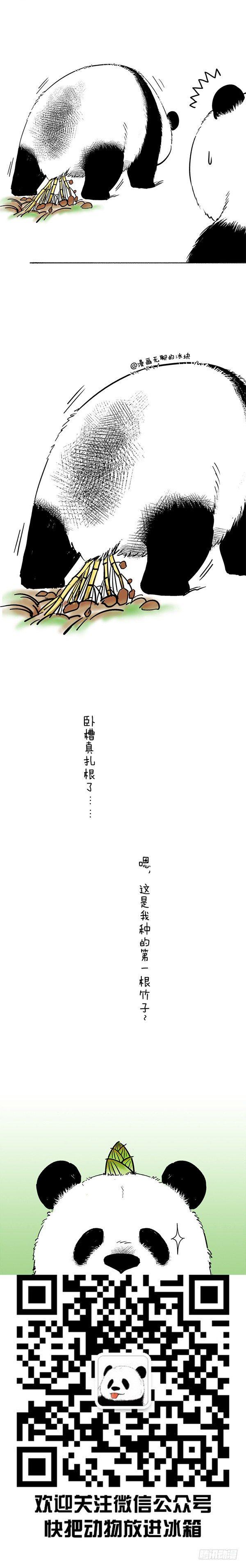 🍕快把动物放进冰箱 047 新年不想动+2018头像 第12页