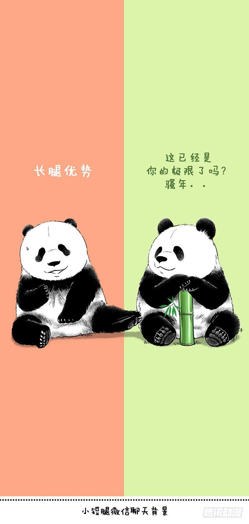 🍕快把动物放进冰箱 069开春新一弹头像壁纸 第7页