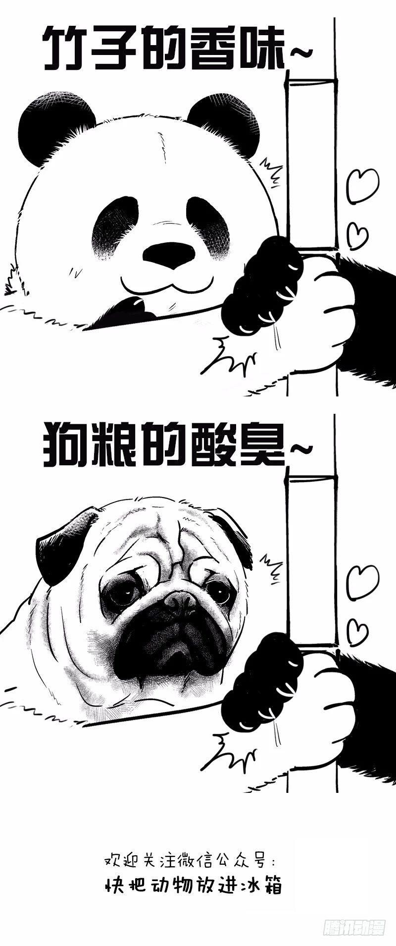 🍕快把动物放进冰箱 075雨生百谷 种熊得熊 第2页