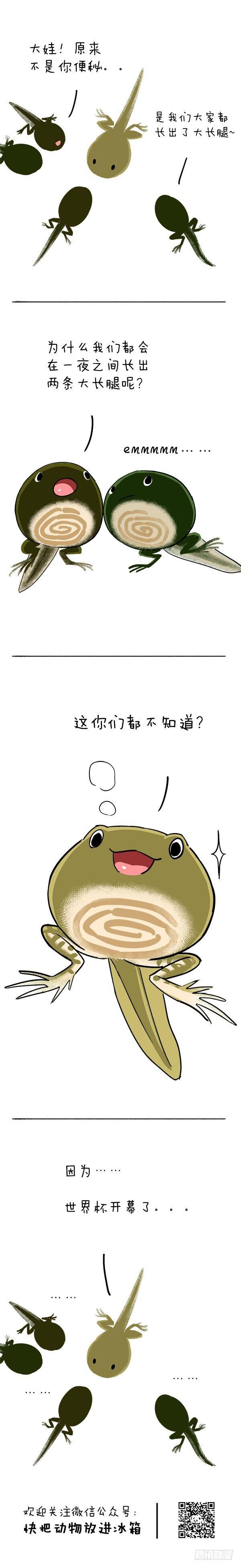 🍕快把动物放进冰箱 087 这是个属于父亲们的端午节 第1页