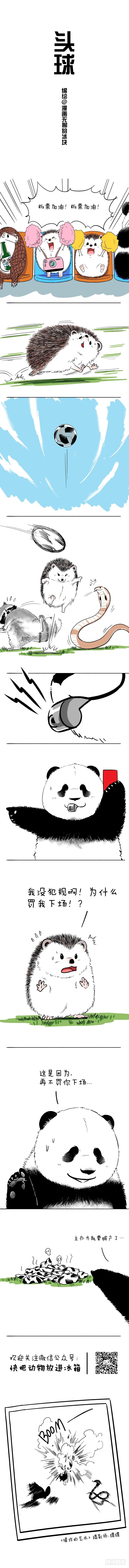 🍕快把动物放进冰箱 091这位的头球主办方都怕 第1页